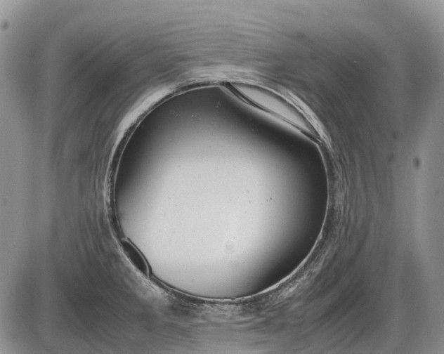 X0000085211285200703231457