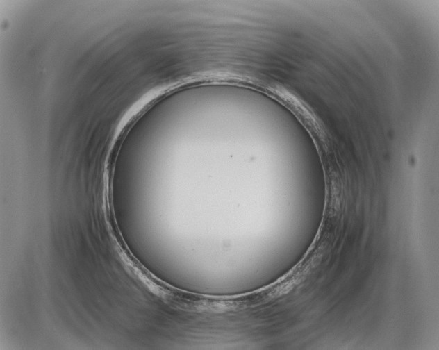 X0000085211286200703231457