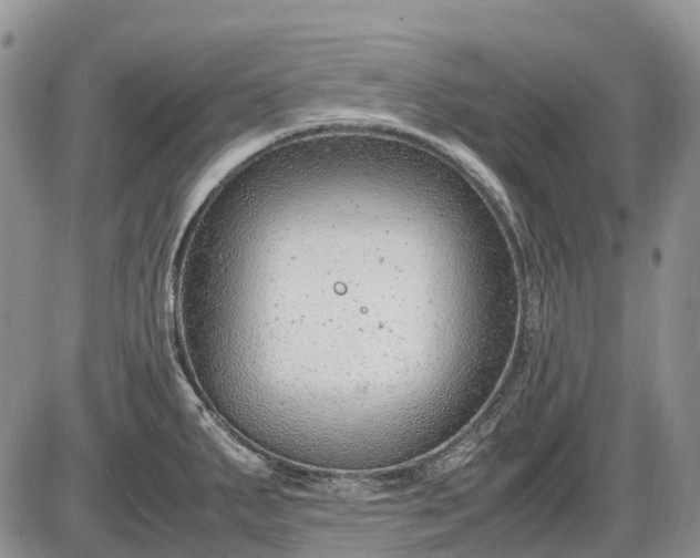 X0000085211287200703231457