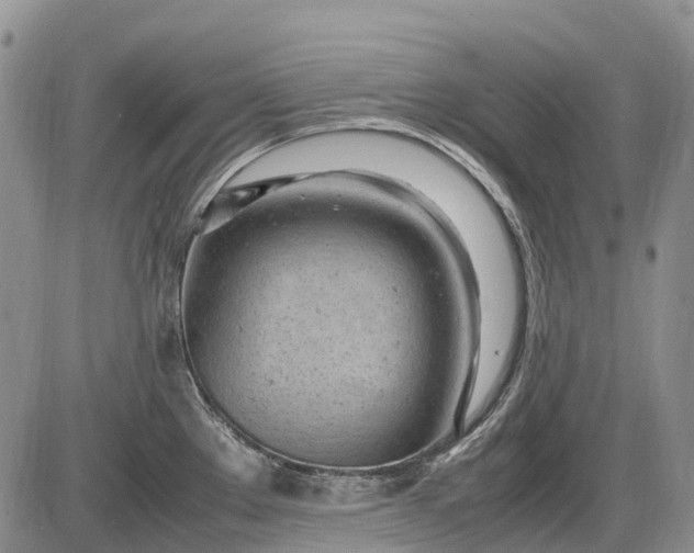 X0000085211289200703231457