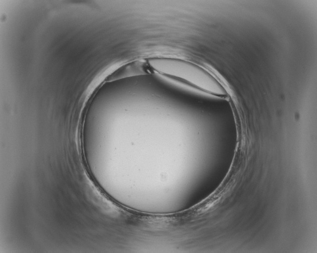 X0000085211293200703231457