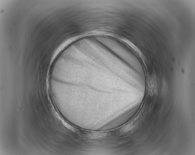 X0000085211294200703231457