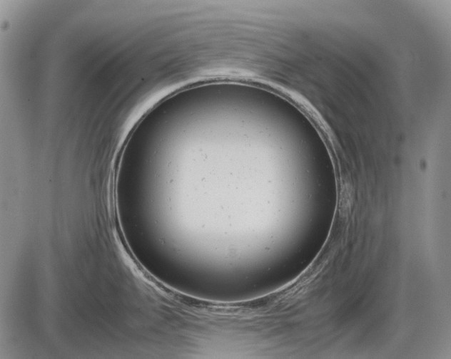 X0000085211295200703231457