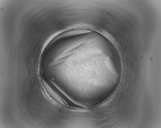 X0000085211296200703231457