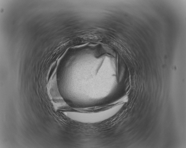 X0000085211297200703231456