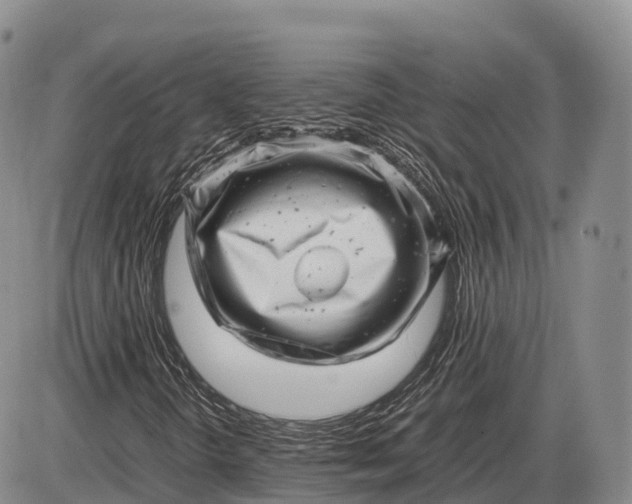 X0000085211298200703231456