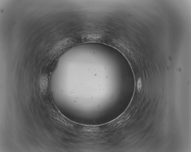 X0000085211299200703231456