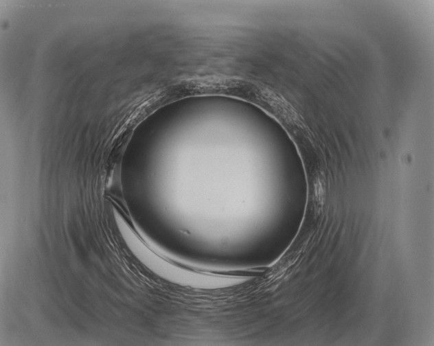 X0000085211300200703231456