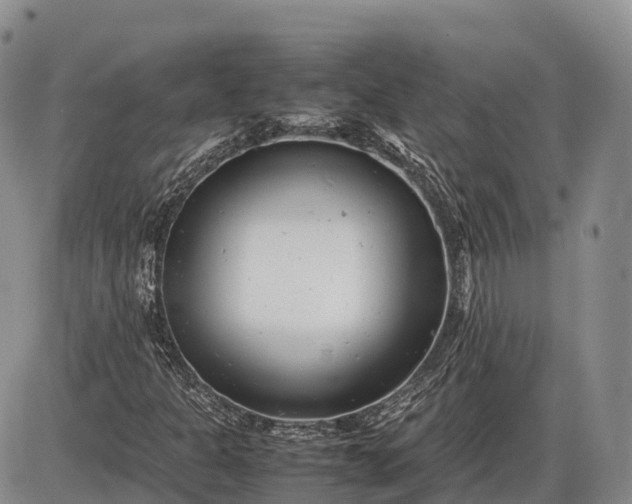 X0000085211301200703231456