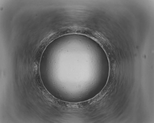 X0000085211302200703231456