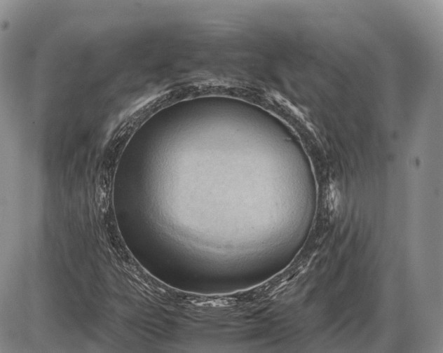 X0000085211303200703231456