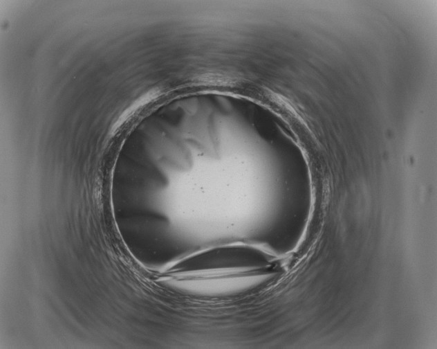 X0000085211307200703231457