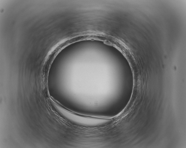 X0000085211310200703231457