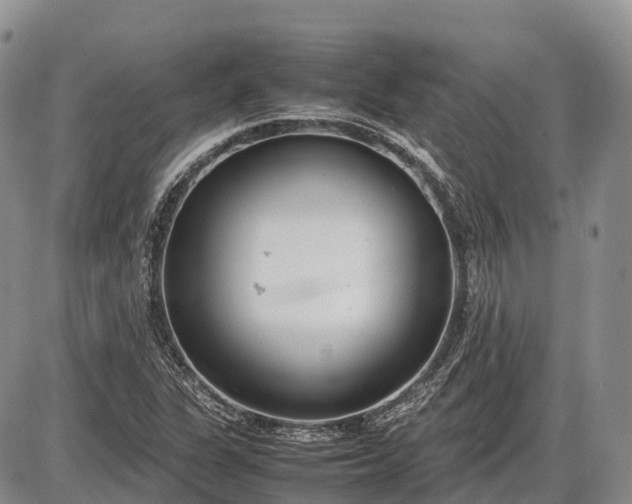 X0000085211311200703231457