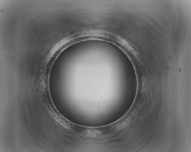 X0000085211312200703231457