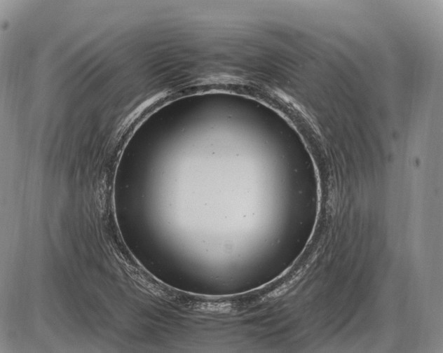 X0000085211313200703231457