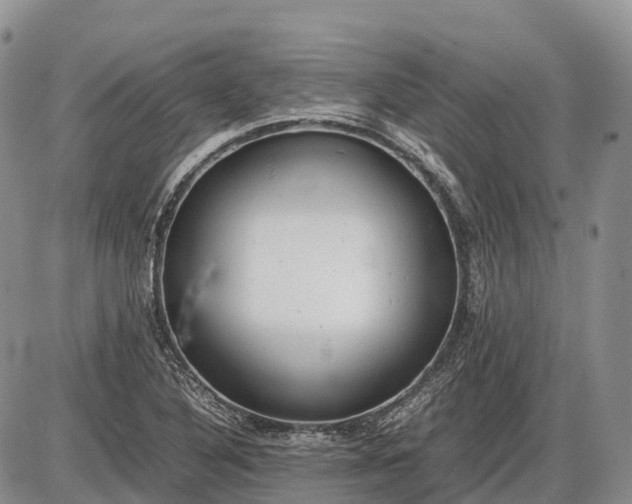 X0000085211316200703231457