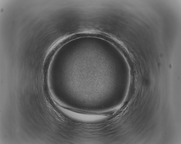 X0000085211319200703231457