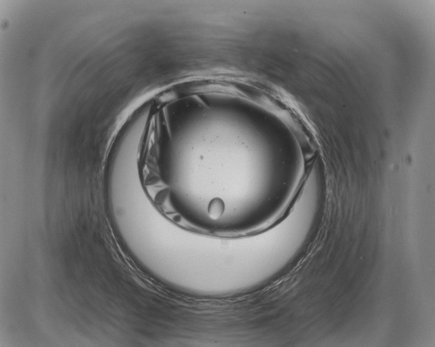 X0000085211320200703231457