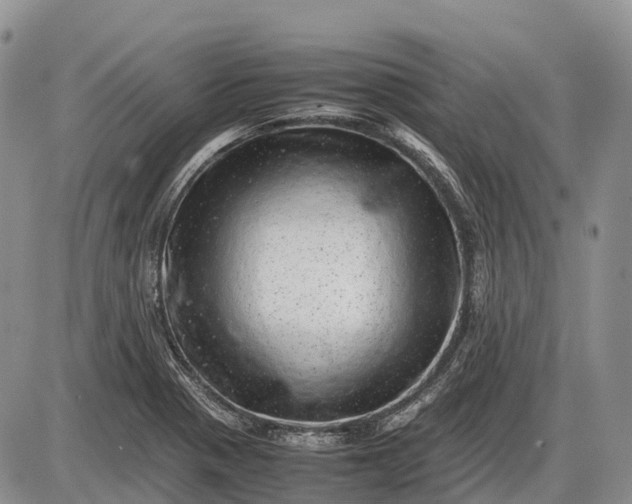 X0000085211321200703231457