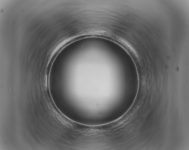 X0000085211324200703231457