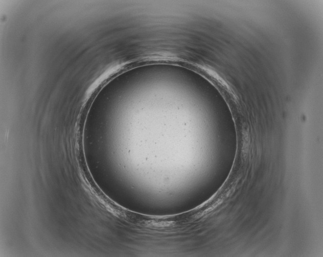 X0000085211325200703231457