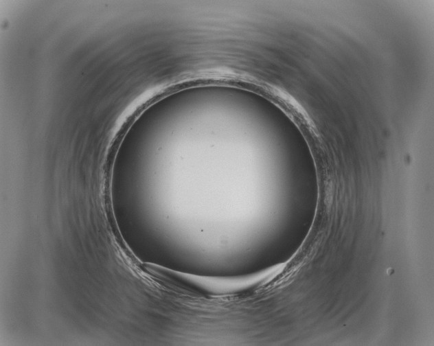 X0000085211326200703231457