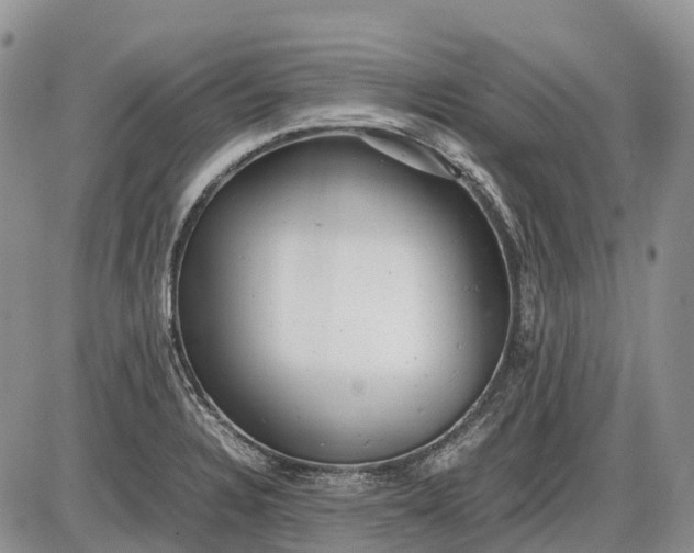 X0000085211328200703231457