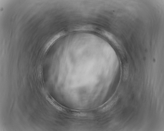 X0000085211329200703231457