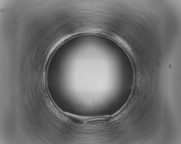 X0000085211332200703231457