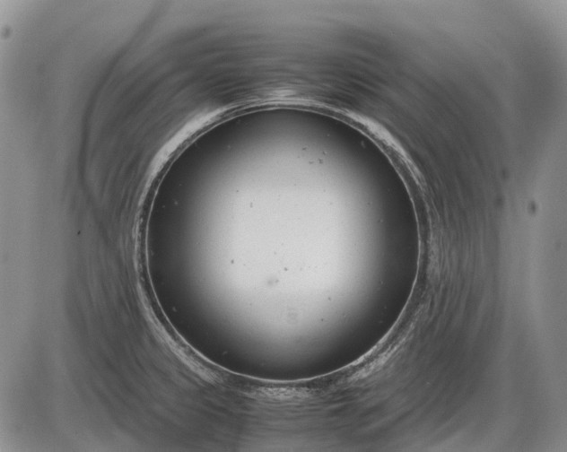 X0000085211333200703231457