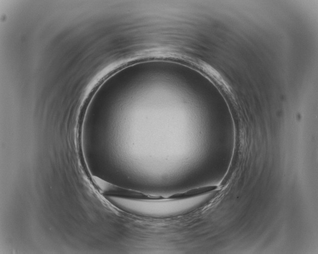 X0000085211334200703231457