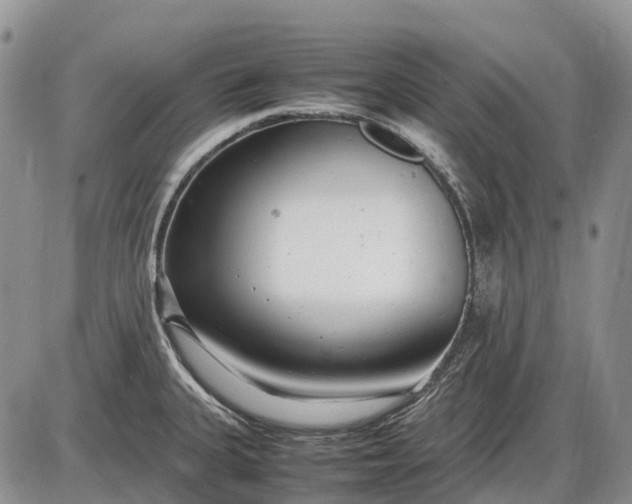 X0000085211335200703231457