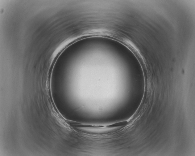 X0000085211336200703231457