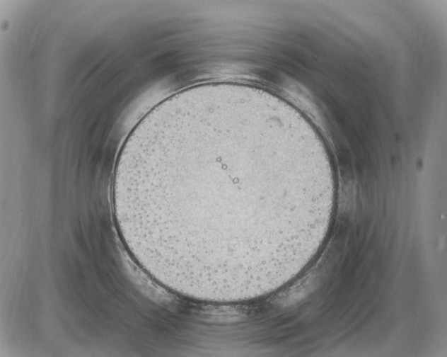 X0000085211338200703231457