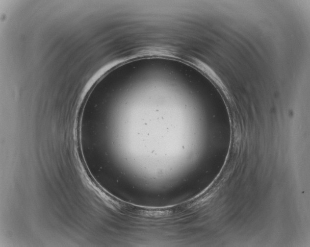 X0000085211339200703231457