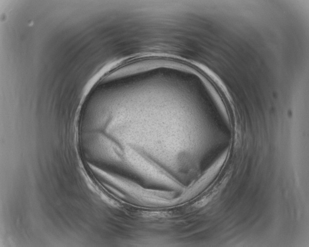 X0000085211341200703231457