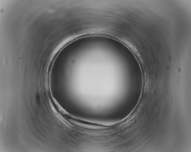 X0000085211342200703231457