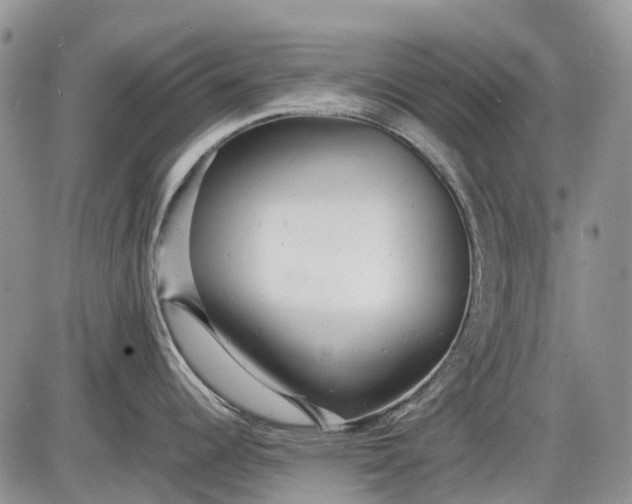 X0000085211344200703231457