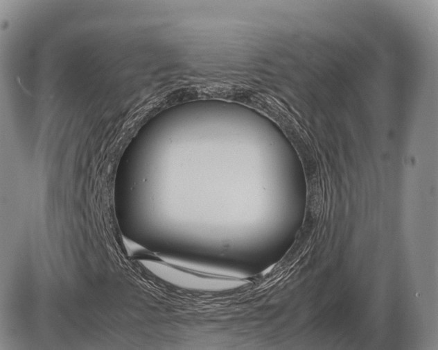 X0000085211345200703231456