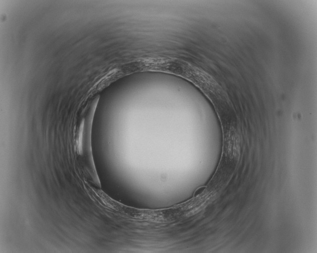 X0000085211346200703231456