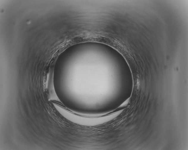 X0000085211348200703231456