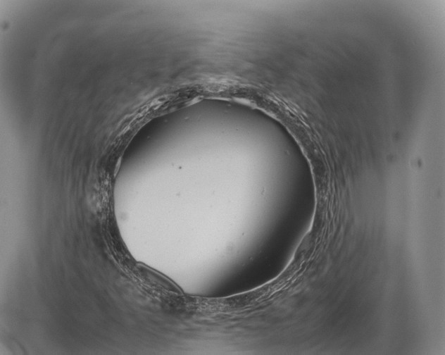 X0000085211349200703231456