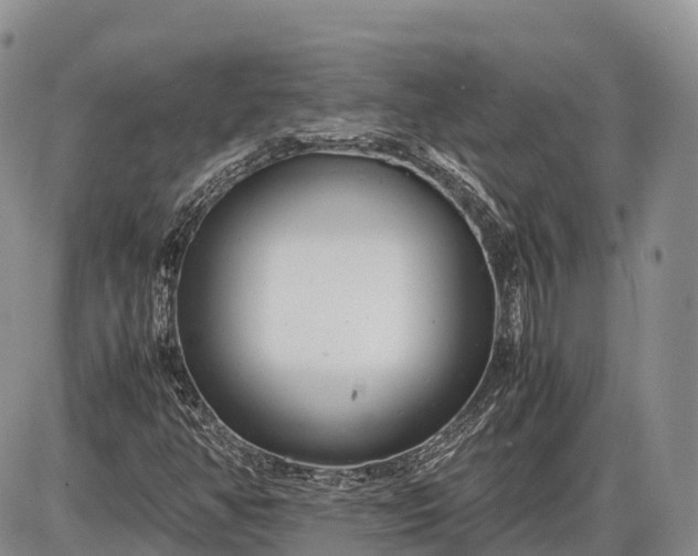 X0000085211350200703231456