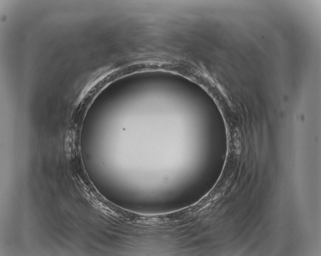 X0000085211352200703231456