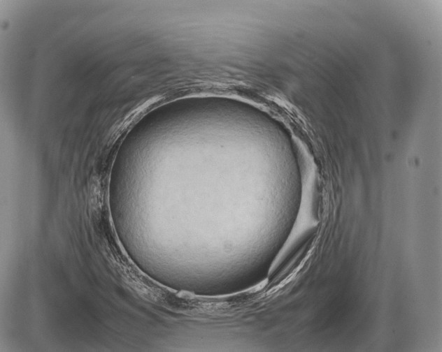 X0000085211353200703231456