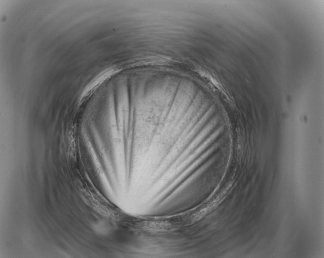 X0000085211354200703231456