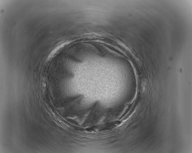 X0000085211355200703231456