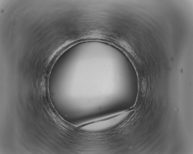 X0000085211356200703231456