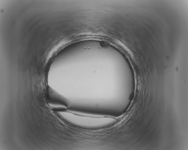 X0000085211357200703231456